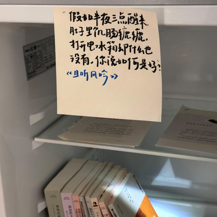 等我买房了我也这样装