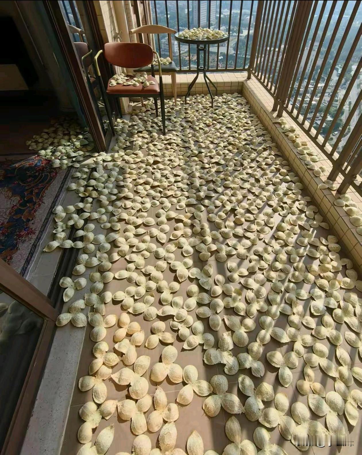 在地上晒的是啥呀，第一眼还以为是饺子