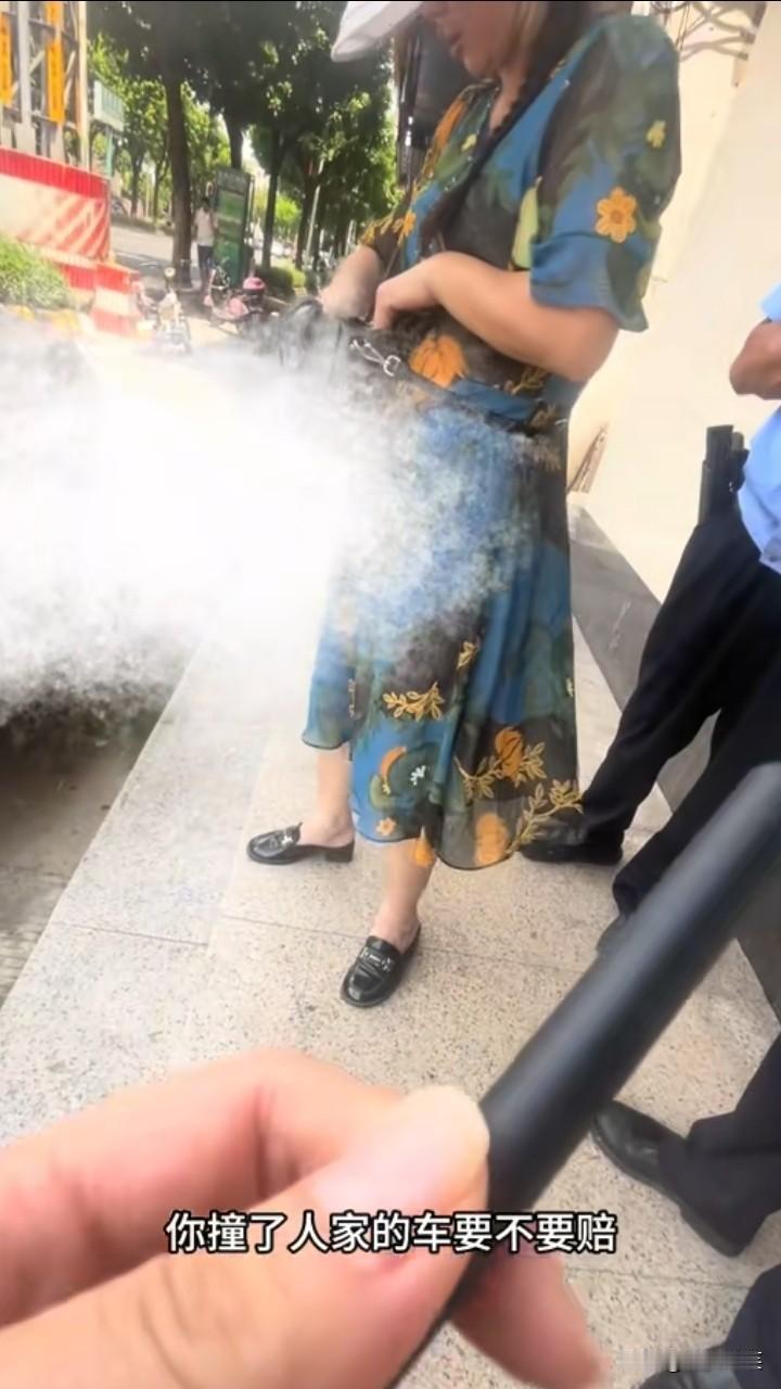 大妈撞车骂车主一个小时后续，9月1日，广东一大妈骑电动车撞了一辆私家车，大妈不道