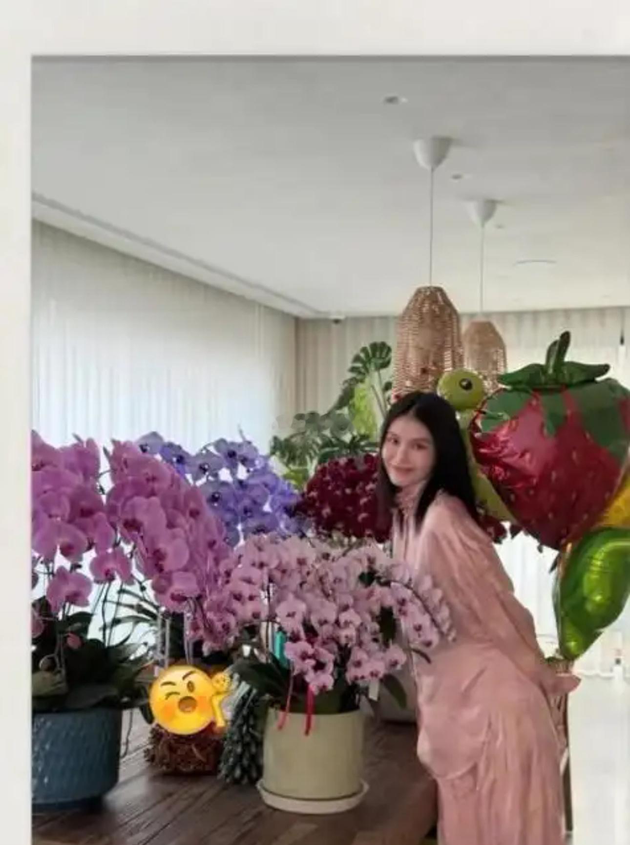 何穗陈伟霆北京过年，别墅里开满蝴蝶兰，这才是年味该有的样子