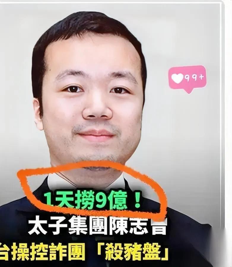 见过最讽刺的“典范”是拿社会责任奖的诈骗犯如果不是美国通缉，我压根不敢信