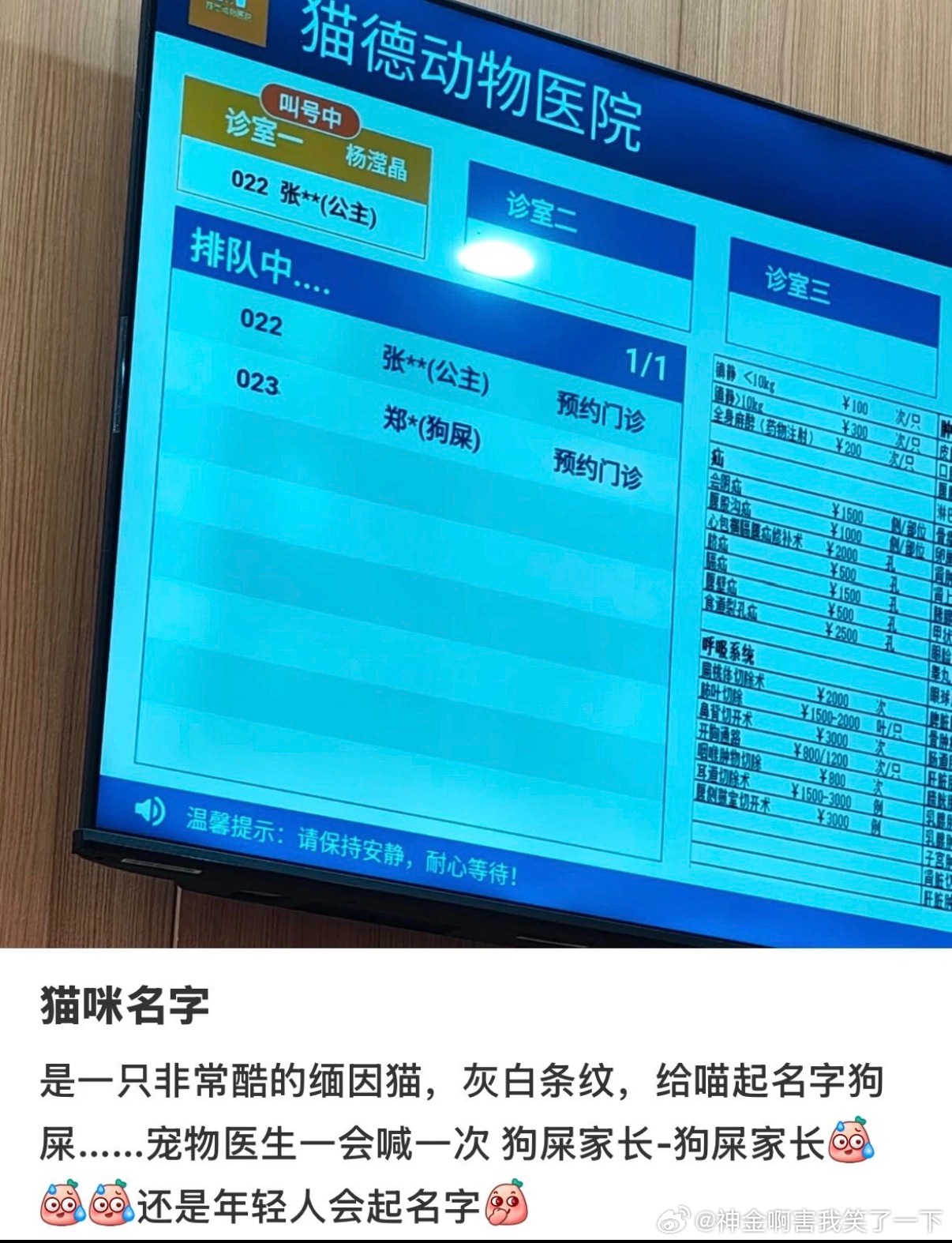 6088这届年轻人起的宠物名字有多离谱