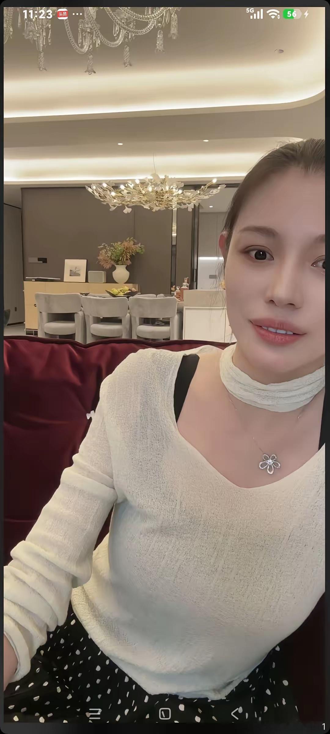 葛荟婕聊天，粉丝说:“搬新家了吗"葛荟婕说:“还没搬呢，刚装修好。"粉丝说“多少