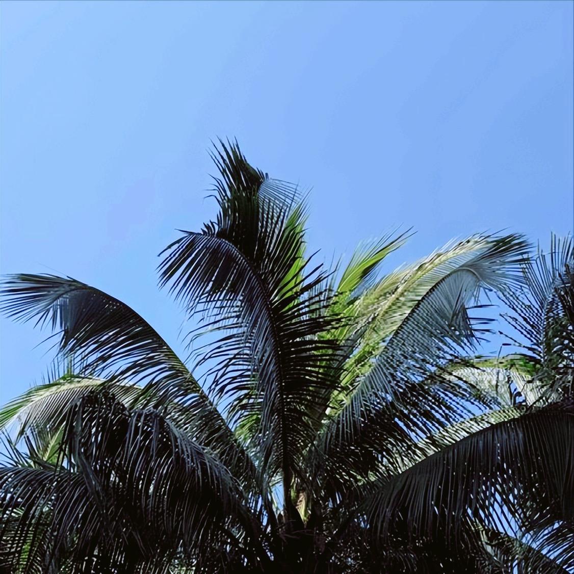 重庆：同一天党纪政务处分同一单位2人 12月24日晚上7:00，重庆：党纪政