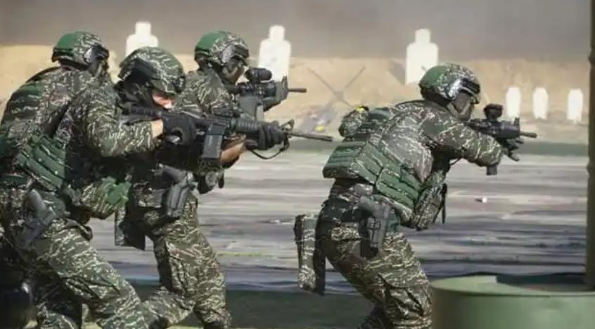 如果我国武统台湾，需要多少兵力才能保证顺利？其实不需要上百万。有个问题非常有意思