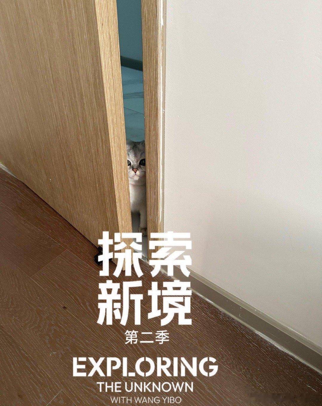 王一博探索新境logo拯救废片探索新境2探索新境logo简直是万能滤镜！无论人