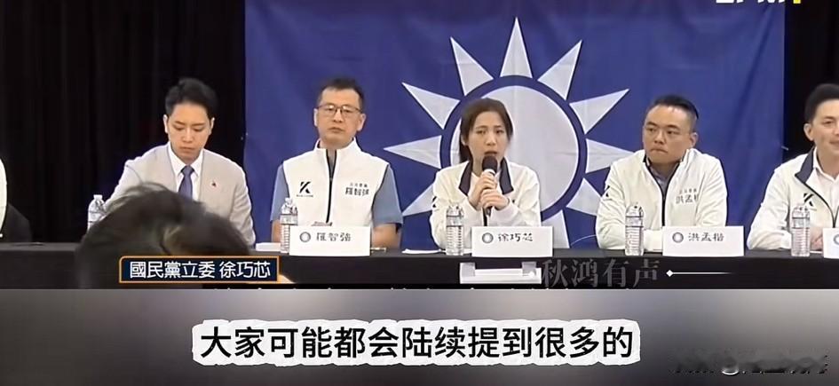 徐巧芯请侨胞回台投票何不到大陆找台商？近日，中国国民党籍的几名“立委”，包