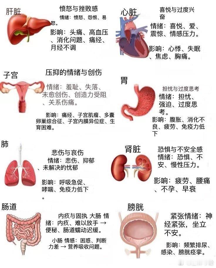 情绪及其影响的器官，控制好情绪就是养生之道！​​​