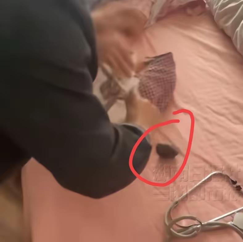 出生仅4天！南京女婴遭“夺命秤”砸胸，医护一句“凑合用”毁掉一个家！才来