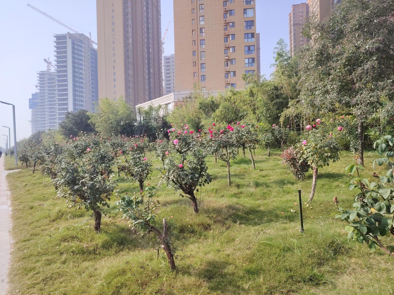 领导总会寻找背锅侠有一个存放许多燃烧物品的实验室忽然着火了。领导寻找背锅侠