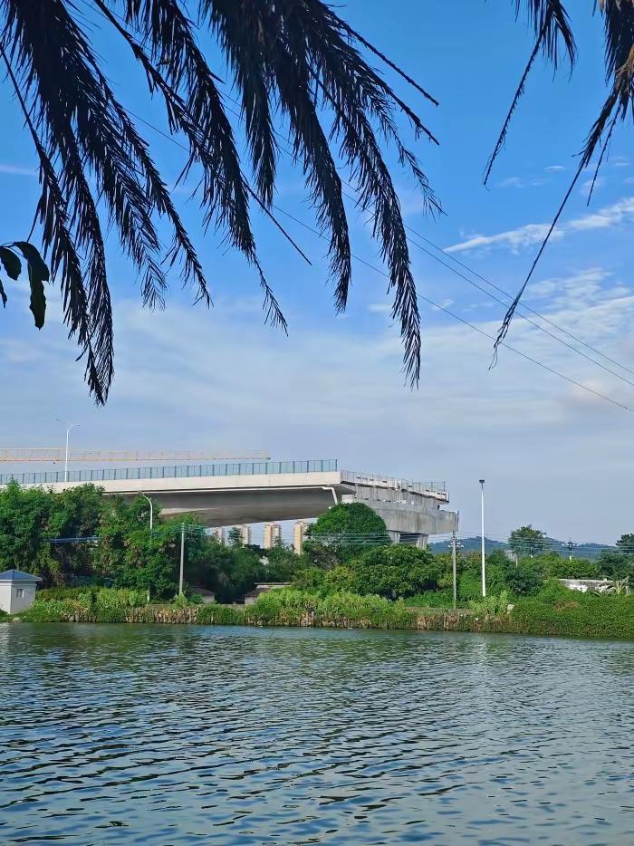 珠海新高速！先行段通车后，向西还建吗？。香海大桥西延线先行段通车了，但很多人还在