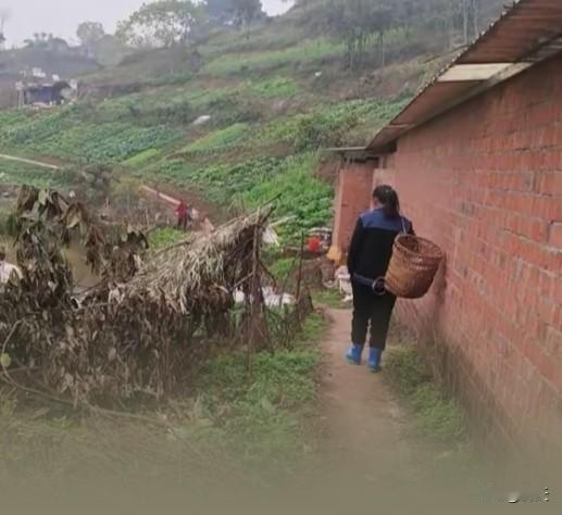 罗永浩回应“科技春晚”迟到：ADHD困扰下的坦诚与抉择12月31日凌晨，罗