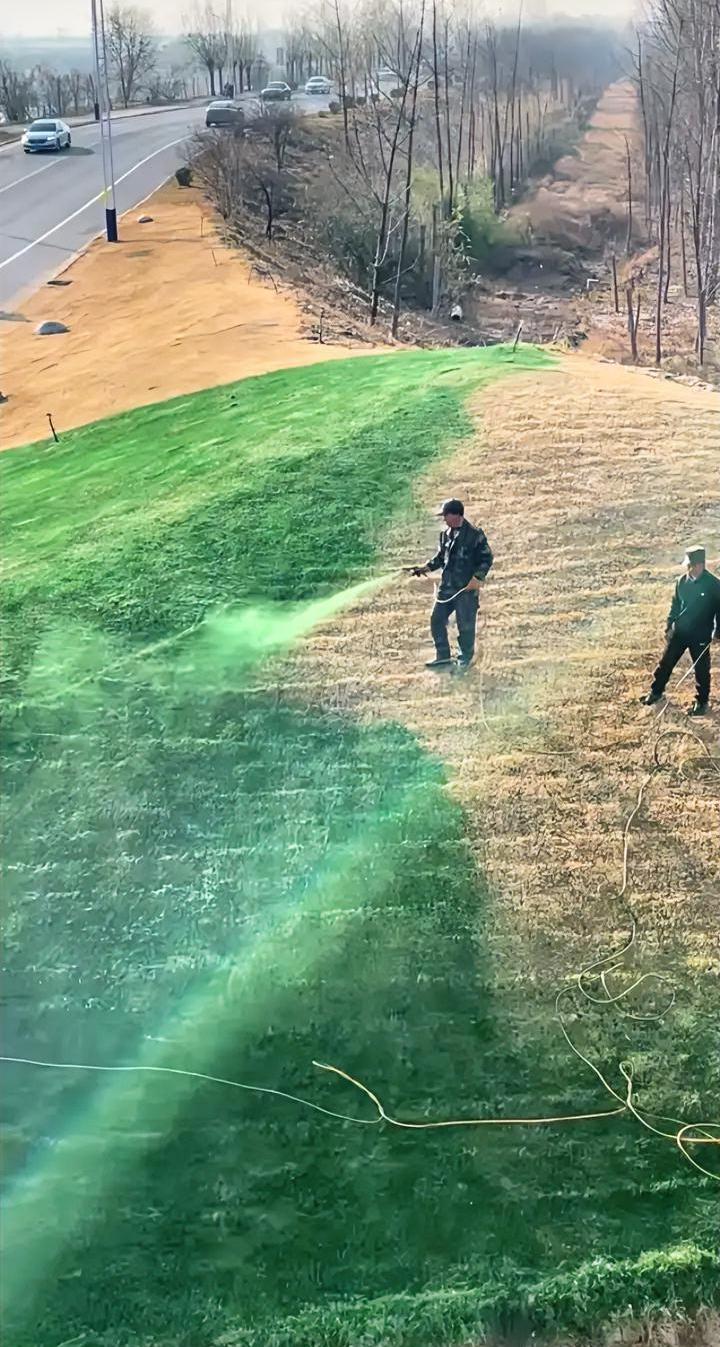 辟谣了，喷的不是绿漆，是营养液。近期一则“工人给草坪喷绿漆”的视频火遍全网，大
