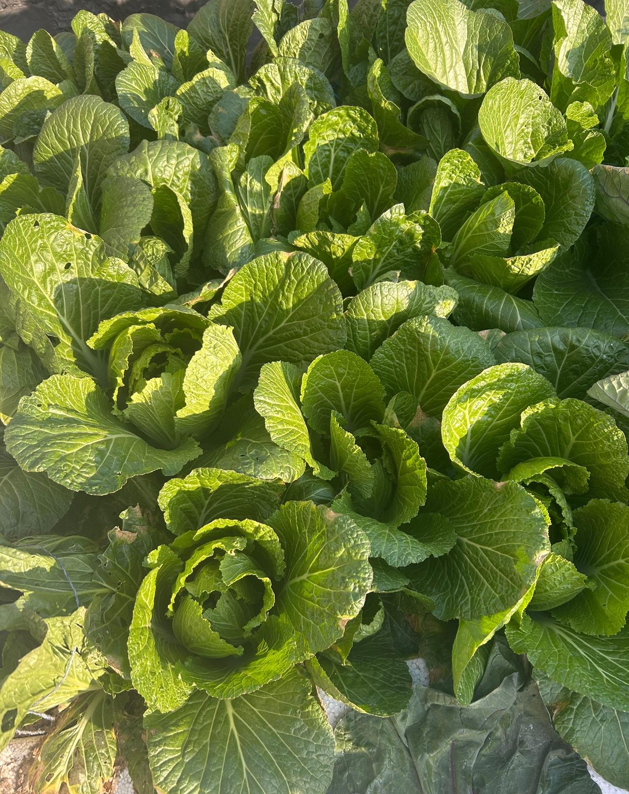 最近发生了一些事，很多朋友都在用他们的方式对我各种关心和帮助。朋友们的各种建