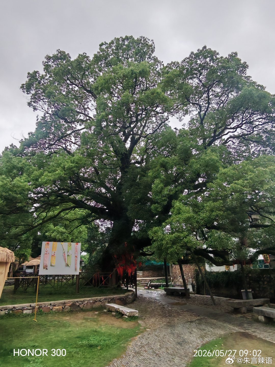 苏州明月湾古村，正如其名，是一个拥有诗一般名字、画一样意境的江南古村落。包括一颗
