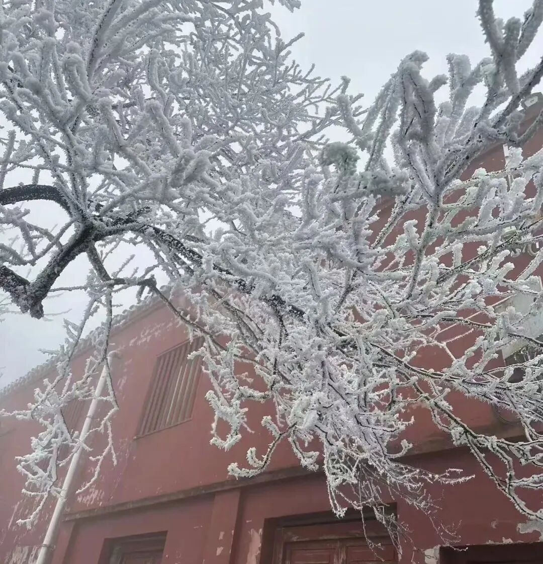 雨夹雪或小雪! 今天将抵达遵义!