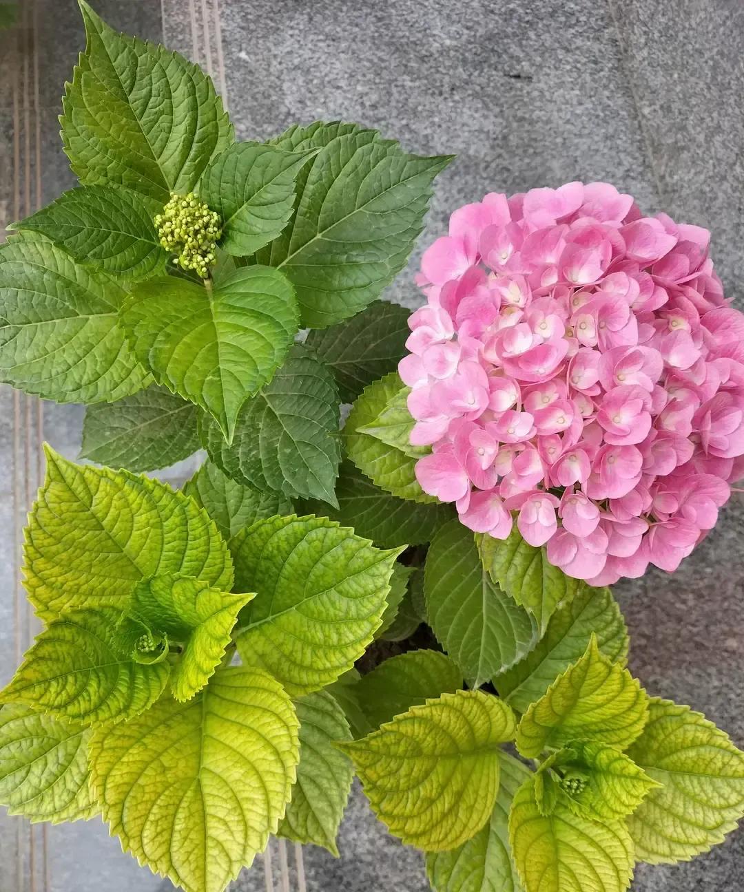 抖音上刷到那位女博主，说她发现老公偷吃后没撕没闹，只给自己列了三条计划：健身、考