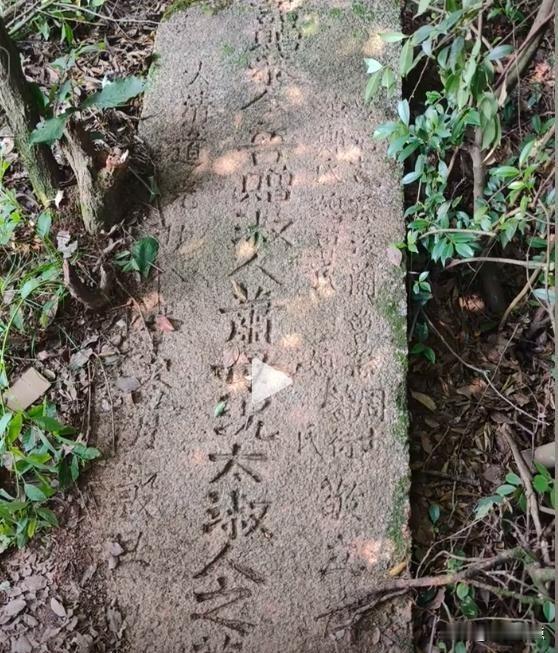 挖出一块碑，整个村子都炸了锅那天下午我正蹲在田埂上抽烟，老远就听见挖掘机的声音