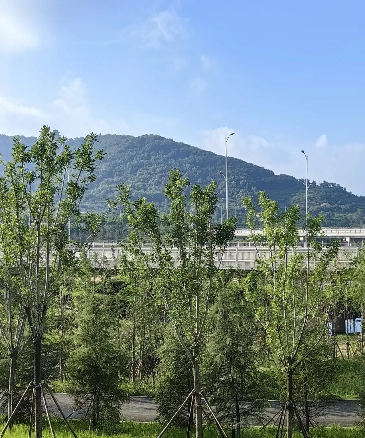 昨天，鲁人社发〔2025〕6号文件公布了今年山东的养老金调整方案，简单说一下细则