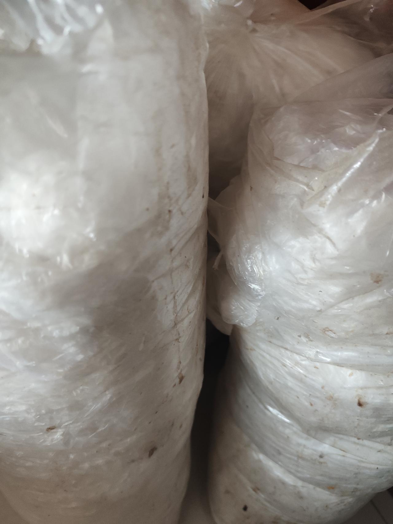 公园很多很多年.......