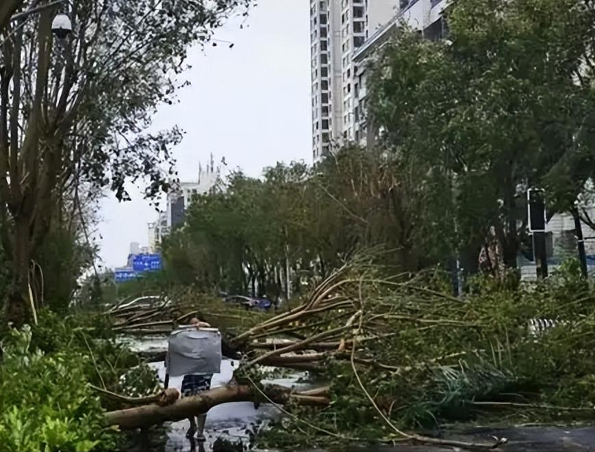 今年七月三号凌晨两点，十号台风“美莎克”在海南近海生成。生成前它确实跟抽了风似的