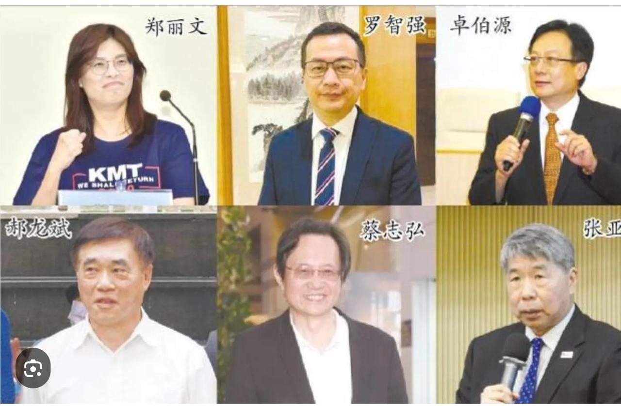 “现在最大的困境之一就是缺钱！六个候选人你们当上主席每月党运作经费哪里来？”点出