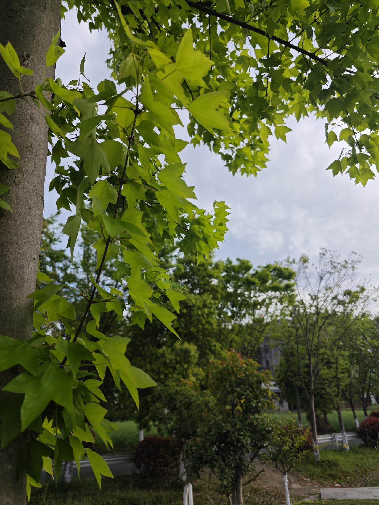 别再往嘴里塞补品了！人到中年，最好的药引子其实长在心上。身上的病，七分都是心
