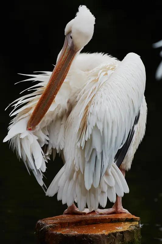 中西医都推荐的“防癌动作”，每天几分钟就行有没有一个动作，不跑不跳、不出大汗