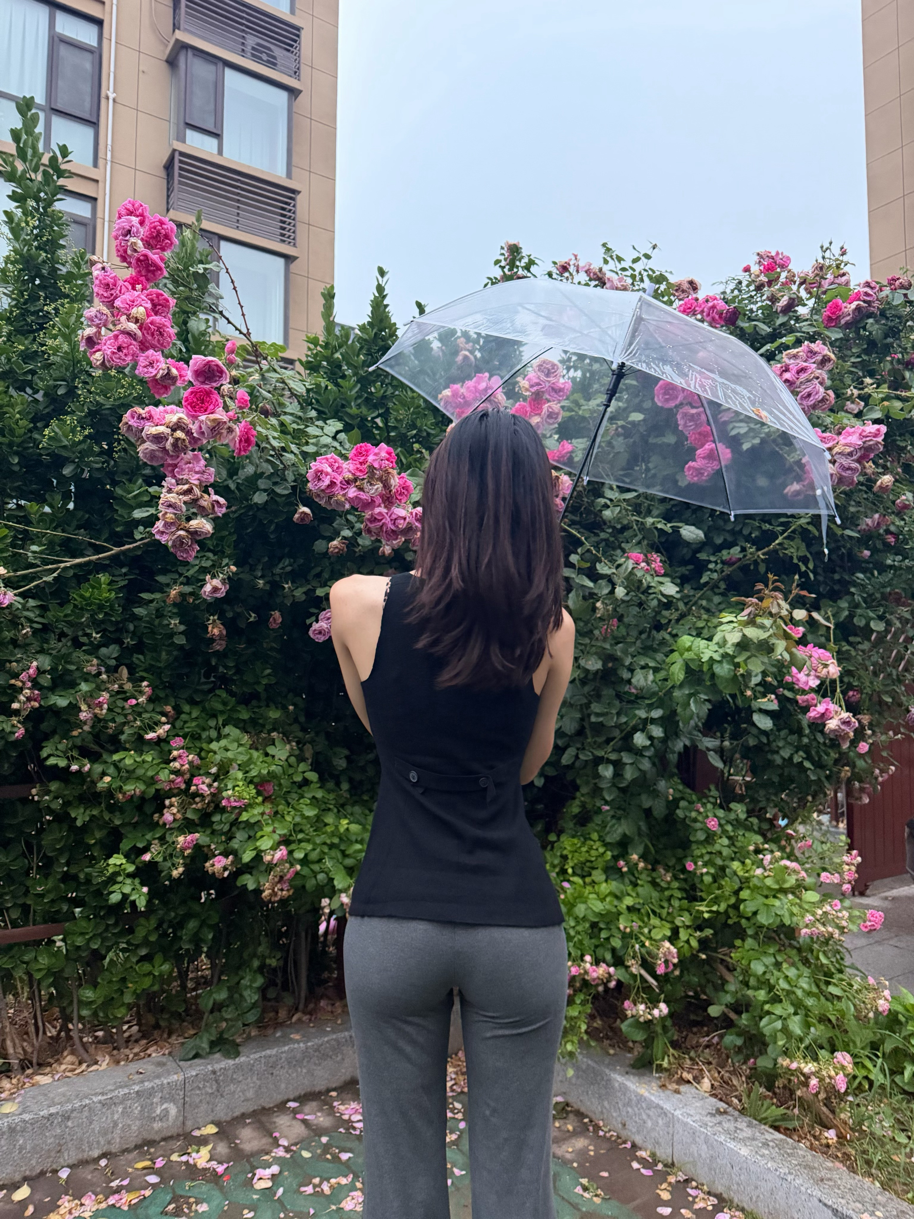 我的日常plog喜欢下雨天
