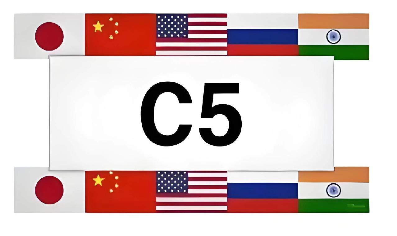 我们是否应该参加美国筹备的“C5组织”？现在网上都在流传，说是美国准备筹建C5