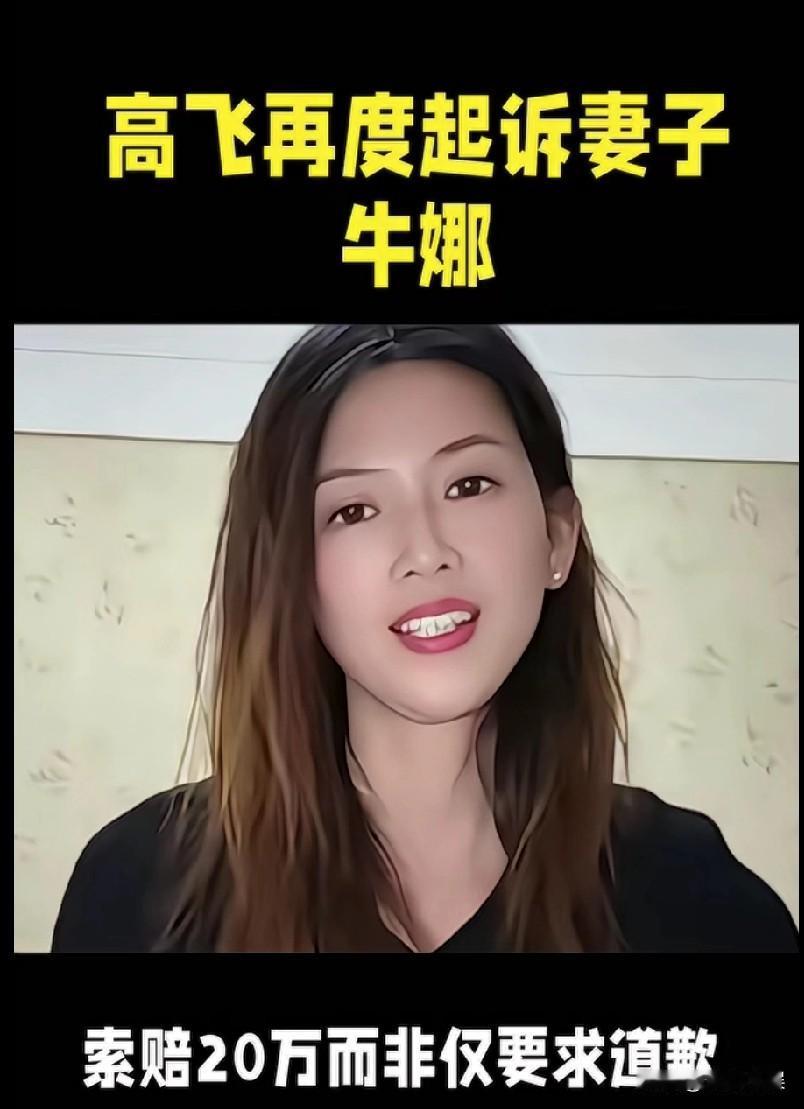 高飞再次起诉牛娜，要求赔偿20万元。这次高飞起诉牛娜赔偿20万，而不仅仅是要求