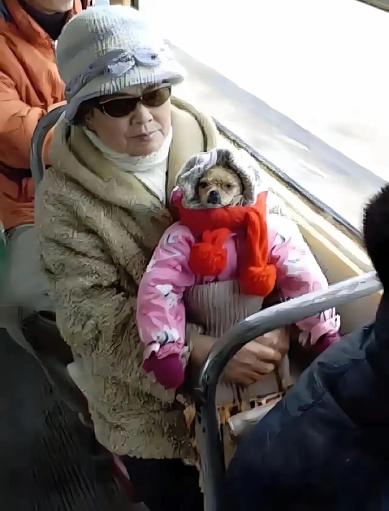 这位老太太真有办法，知道狗不能上公交车，她乔装打扮，给狗穿上儿童装，人模狗样，蒙