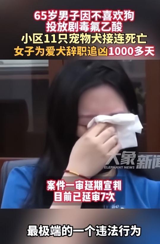 太执着了，北京一名女子因宠物狗被毒死，辞职寻找凶手！6月19日，这起案件已经延期