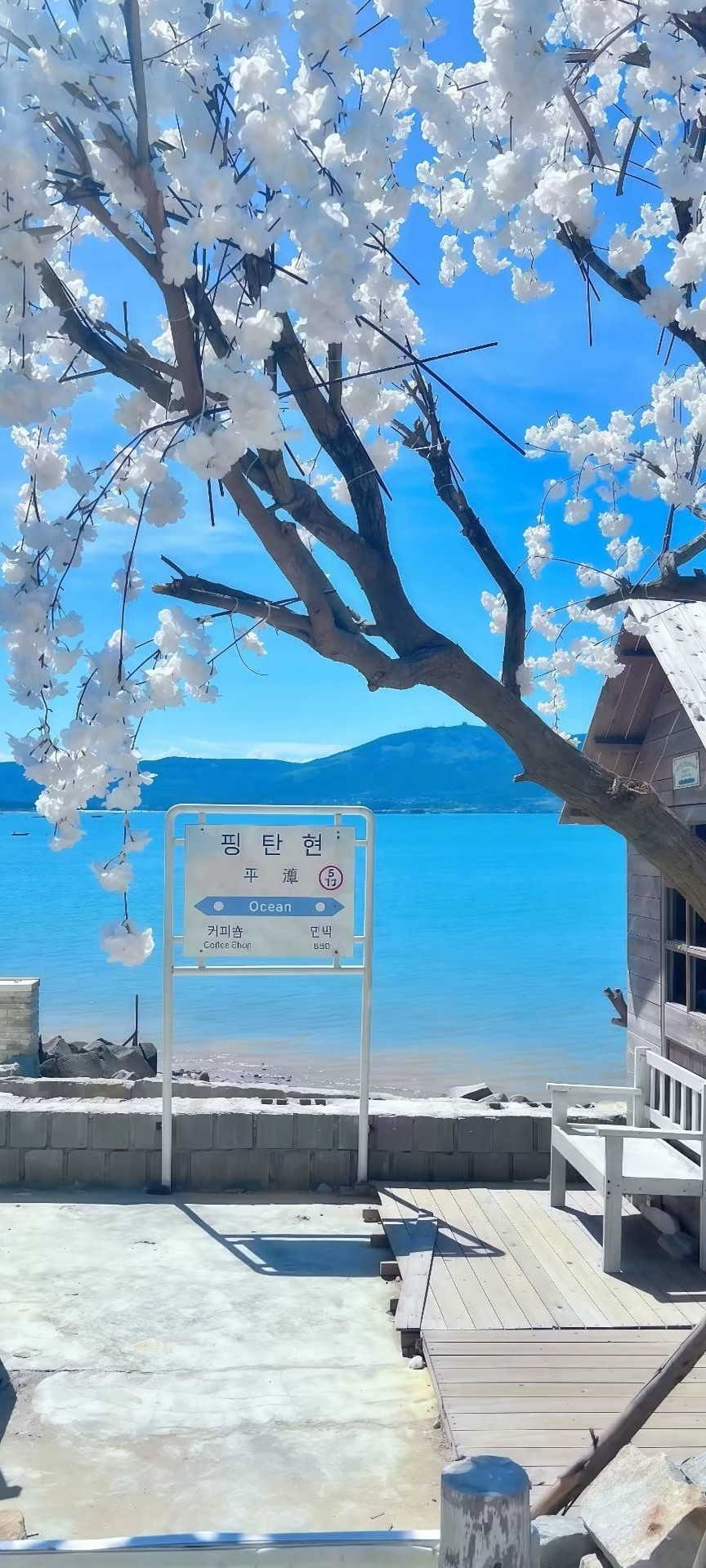 高级感手机壁纸推荐””\(￣ー￣)(￣ー￣)//””壁纸手机壁纸