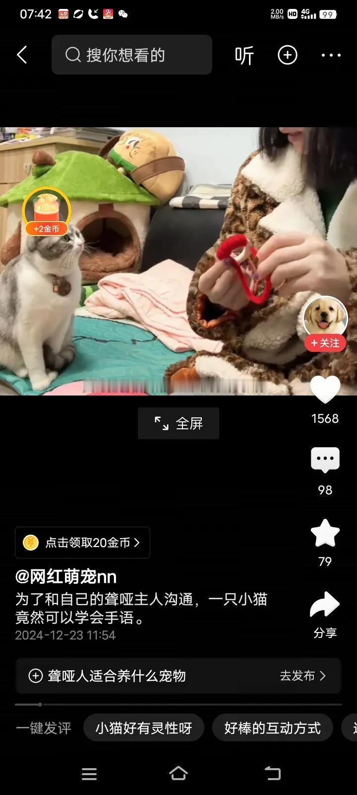 万万没想到的是，一只可爱的小猫为了和自己的聋哑主人沟通，竟然偷偷的学会了一套和主