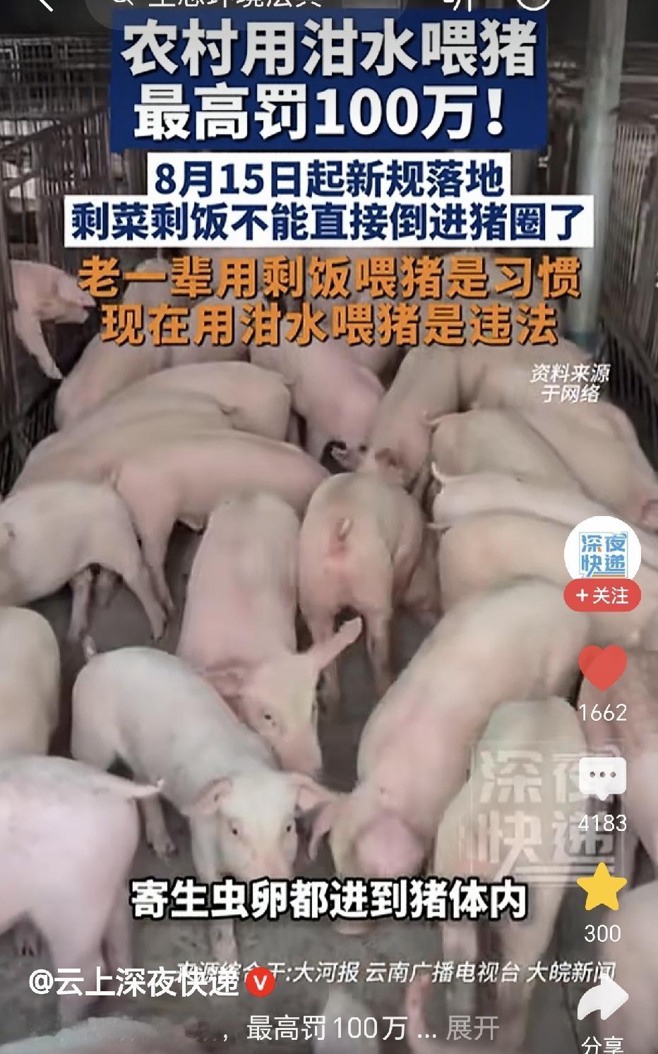 禁止农村用泔水喂猪，最高罚100万！被这条新闻震惊了！专家说这是给猪吃高油高盐