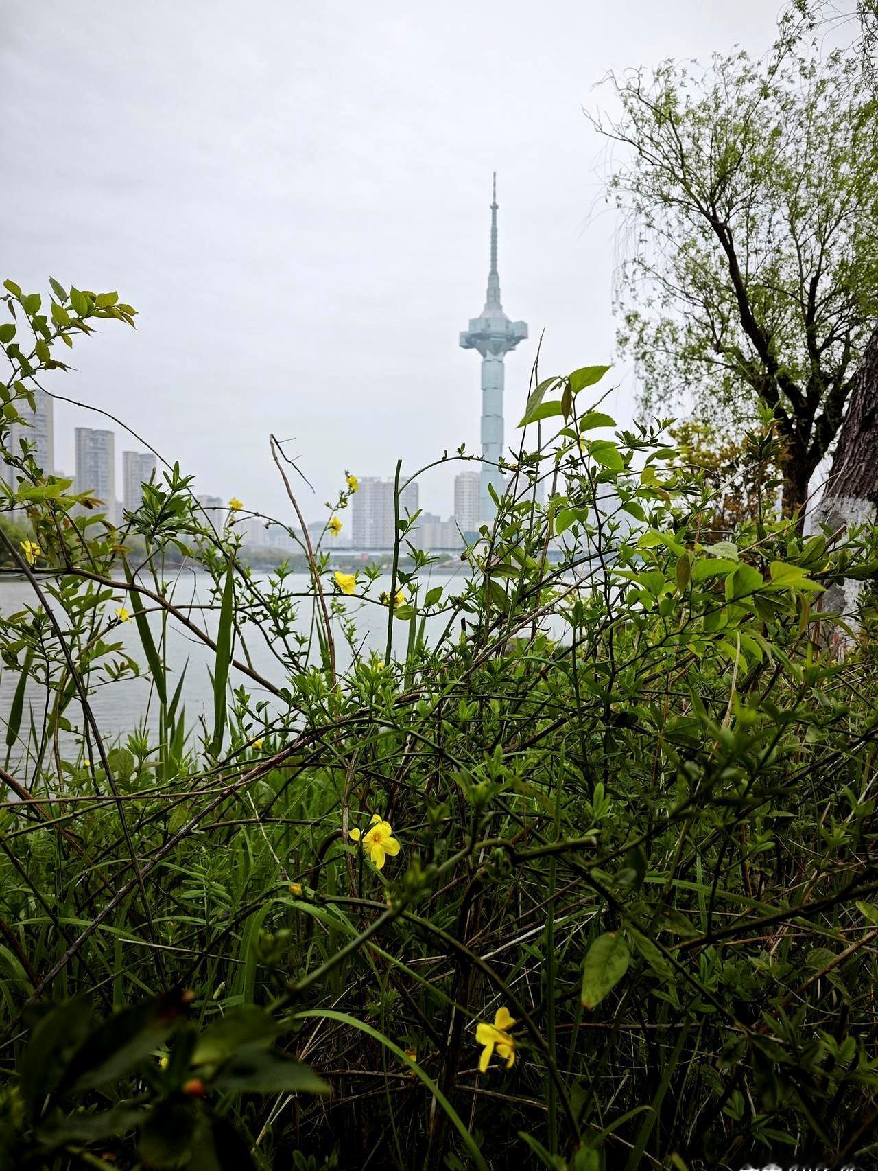 2026苏超赛程定了，盐城队要在奥体打6场硬仗！开门红已经到手。盐城队首