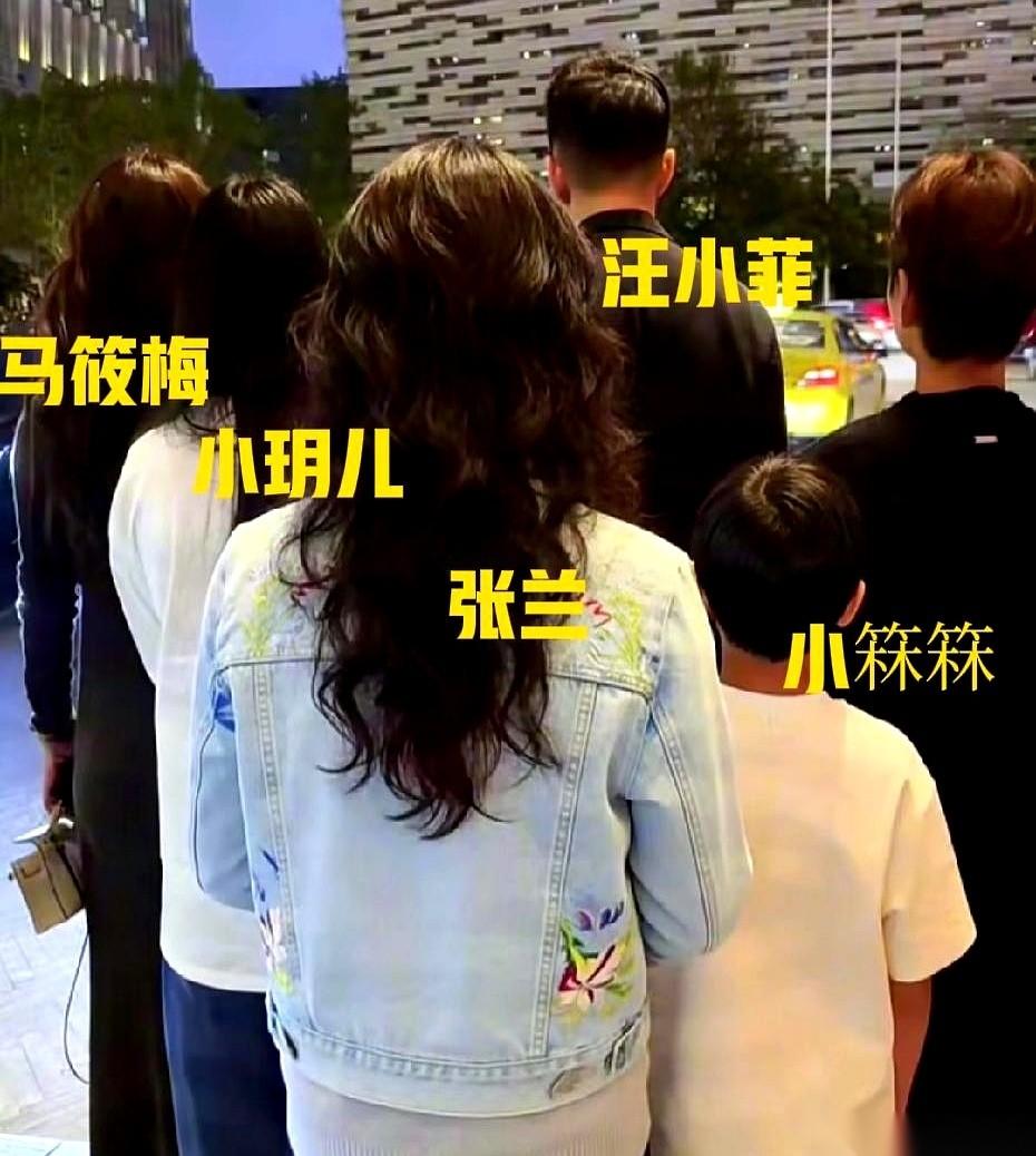 那边新儿媳挺着肚子快生了，这边张兰扭头就飞台北看孙子去了。你瞅瞅这老太太，心里