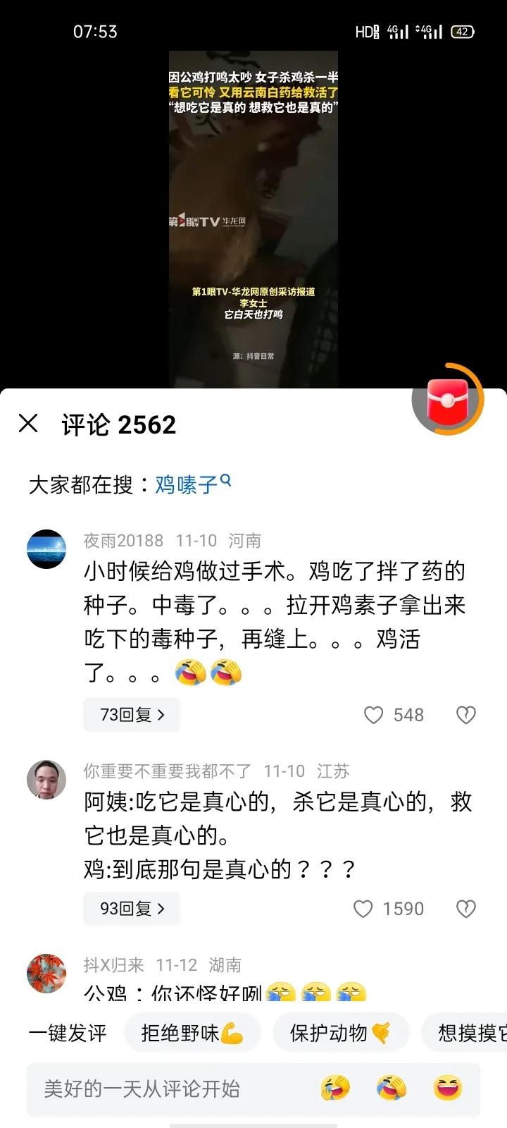 杀鸡杀到一半，鸡活了，又给鸡用云南白药包起来了，又活了。想吃鸡是真的，想救鸡