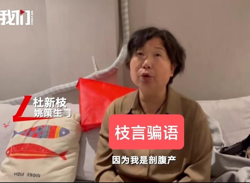 杜新枝不可能作为驻马店商业局职工，跑到兰考农村，办了一张假的准生证，拿着假的准生