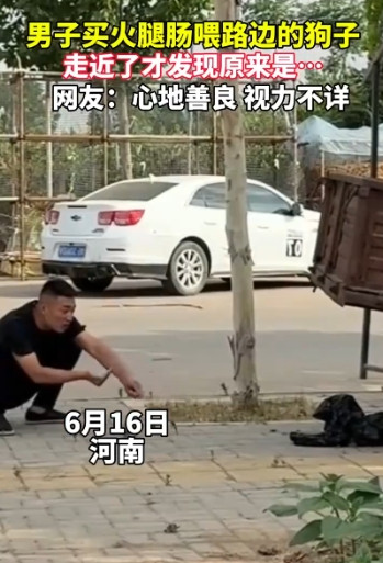 男子买火腿肠喂路边的狗子，不管男子怎么招手，狗子就是不过去，走近一看，才发现原来不是狗！