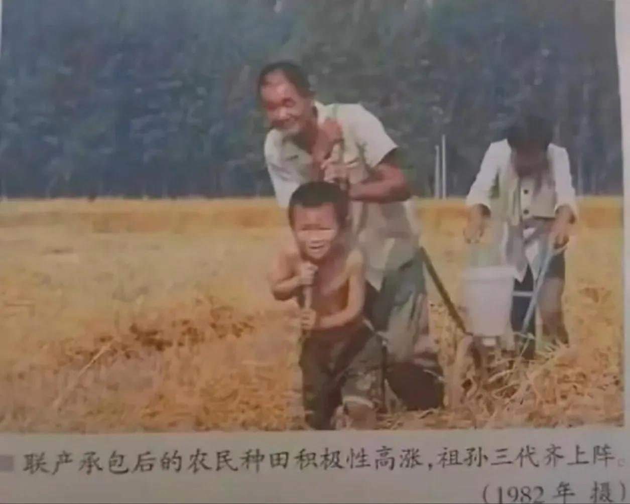 这张流传很广的老照片，当时被作为包产到户后农民积极种田的一个宣传。配文是：联产承