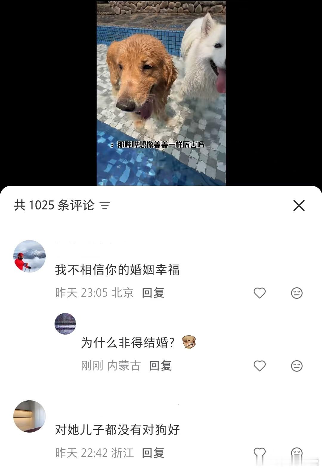 民间艺术观察