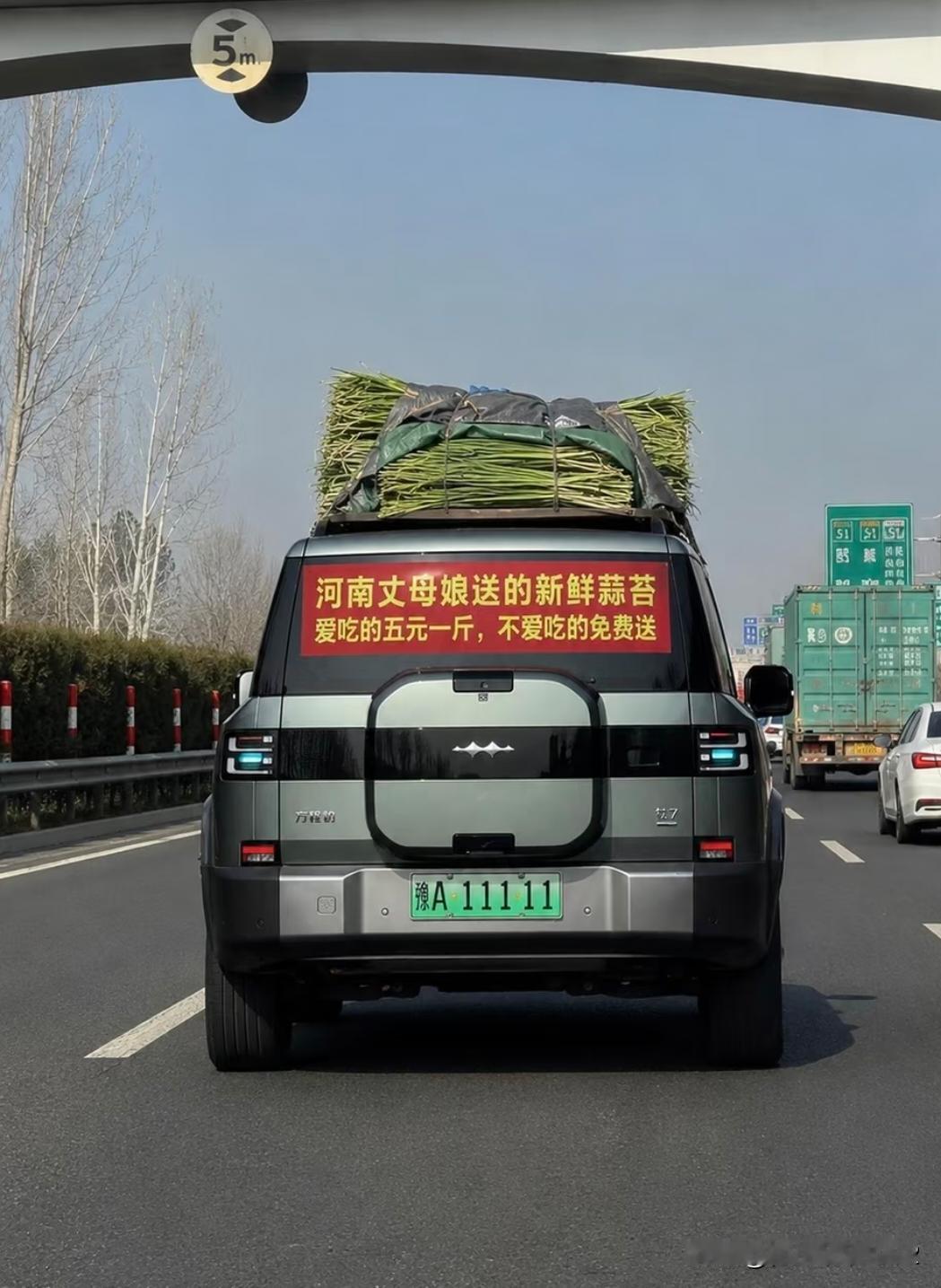 最近的蒜苔梗怎么这么火？也是在亲眼看到了为什么最近都在玩蒜苗梗，你们真的吃不完