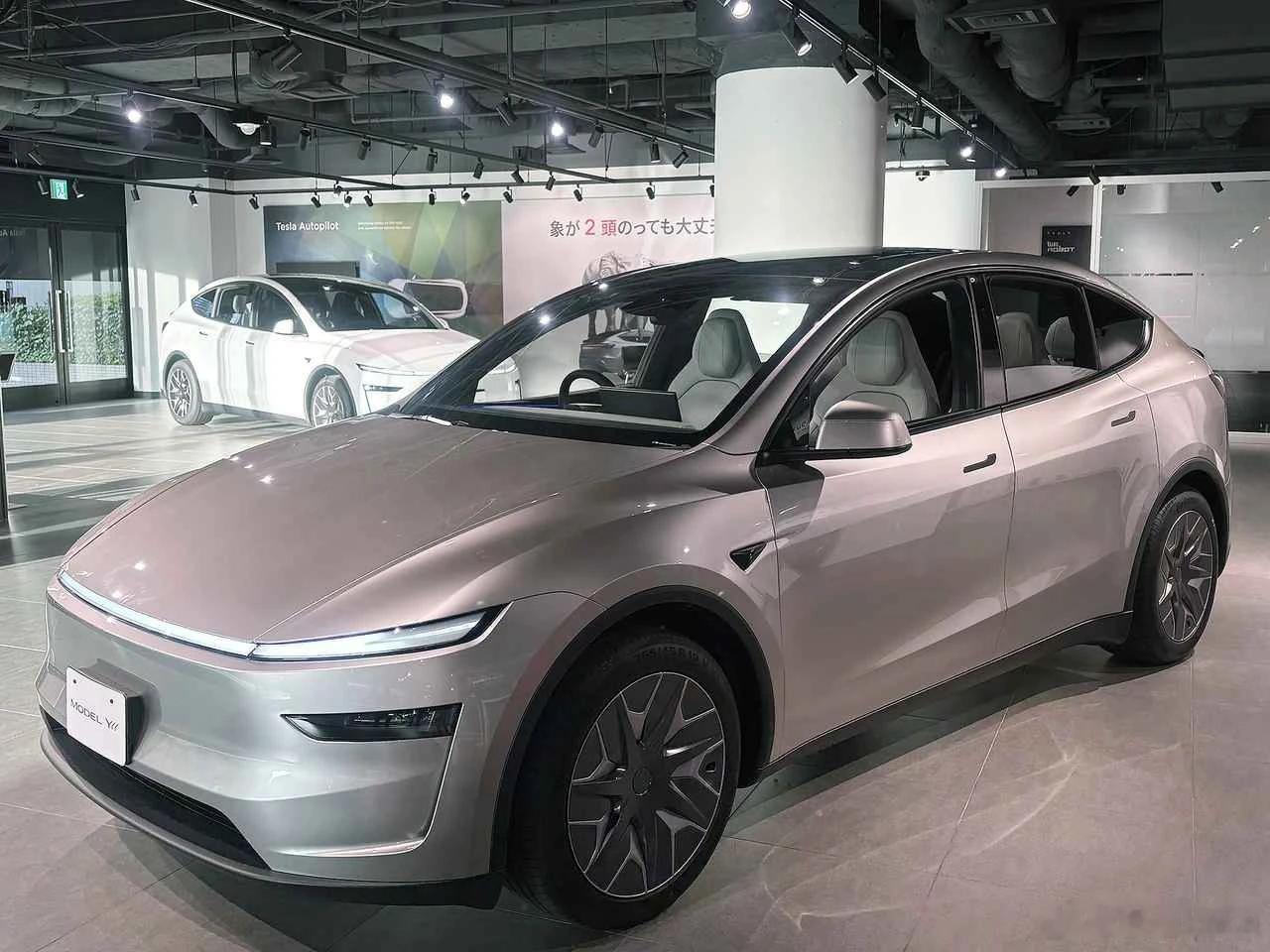 特斯拉ModelYL，在中国人嫌狗厌，但在日本汽车市场非常受欢迎，我是没想到特