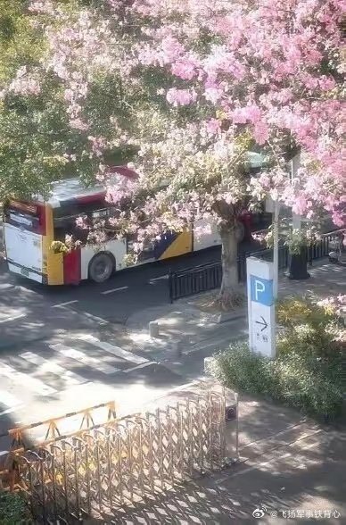 韩偷偷又偷偷偷东西了——“一位广州摄影师称，他的原创作品被一名韩国用户转发到海外