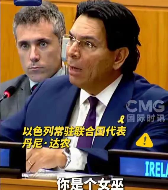 联合国会议上火药味弥漫,以色列常驻联合国代表丹尼·达农公然指责联合国巴勒斯坦被占