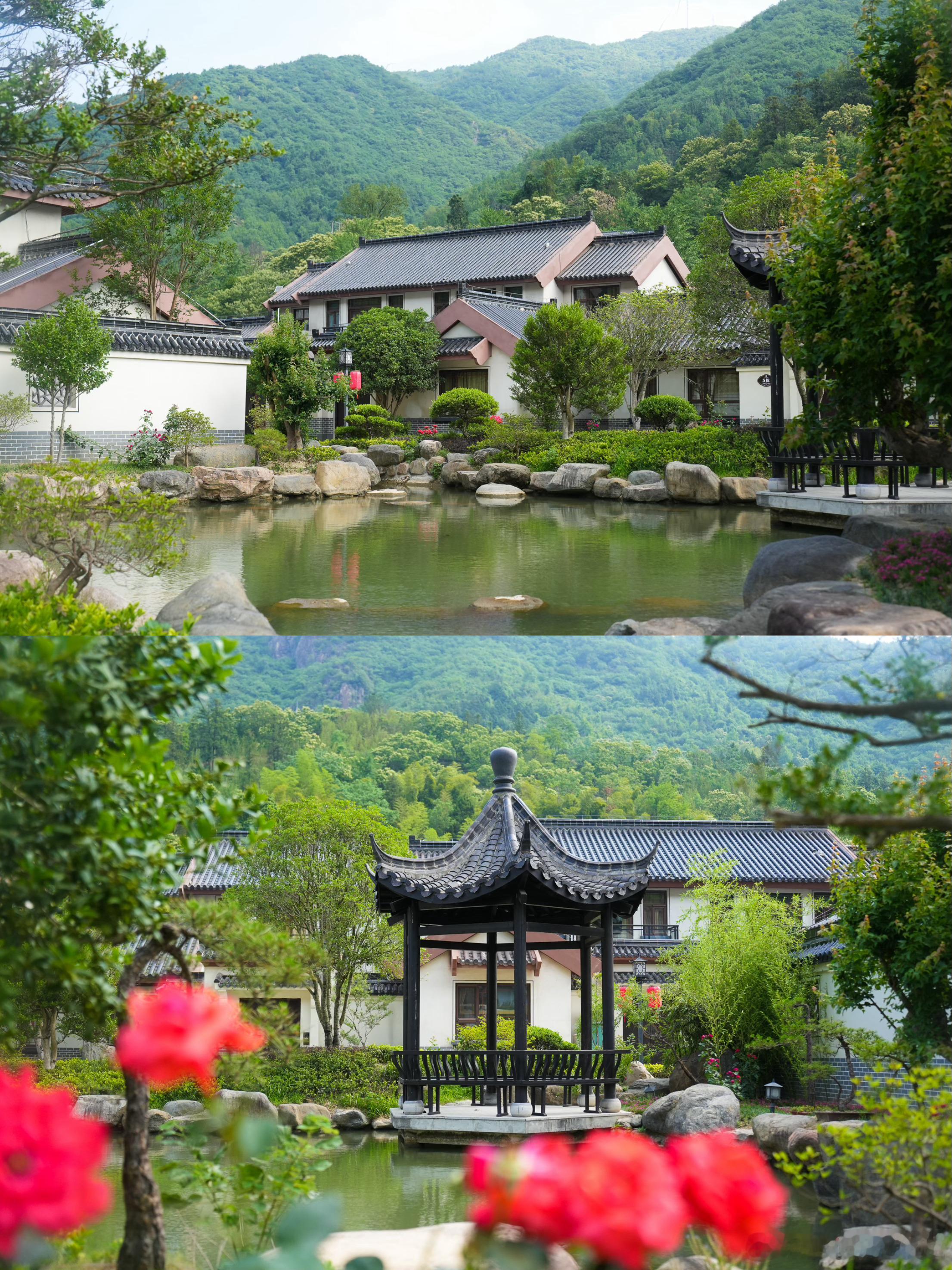 在金寨藏着一处宛如世外桃源的徽派庄园——春山大别山兰花庄园。这次来金寨参观了