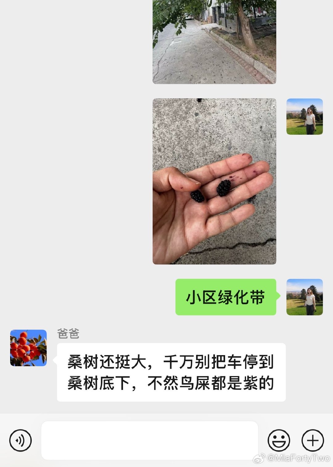 我爸我妈发言挺有意思​