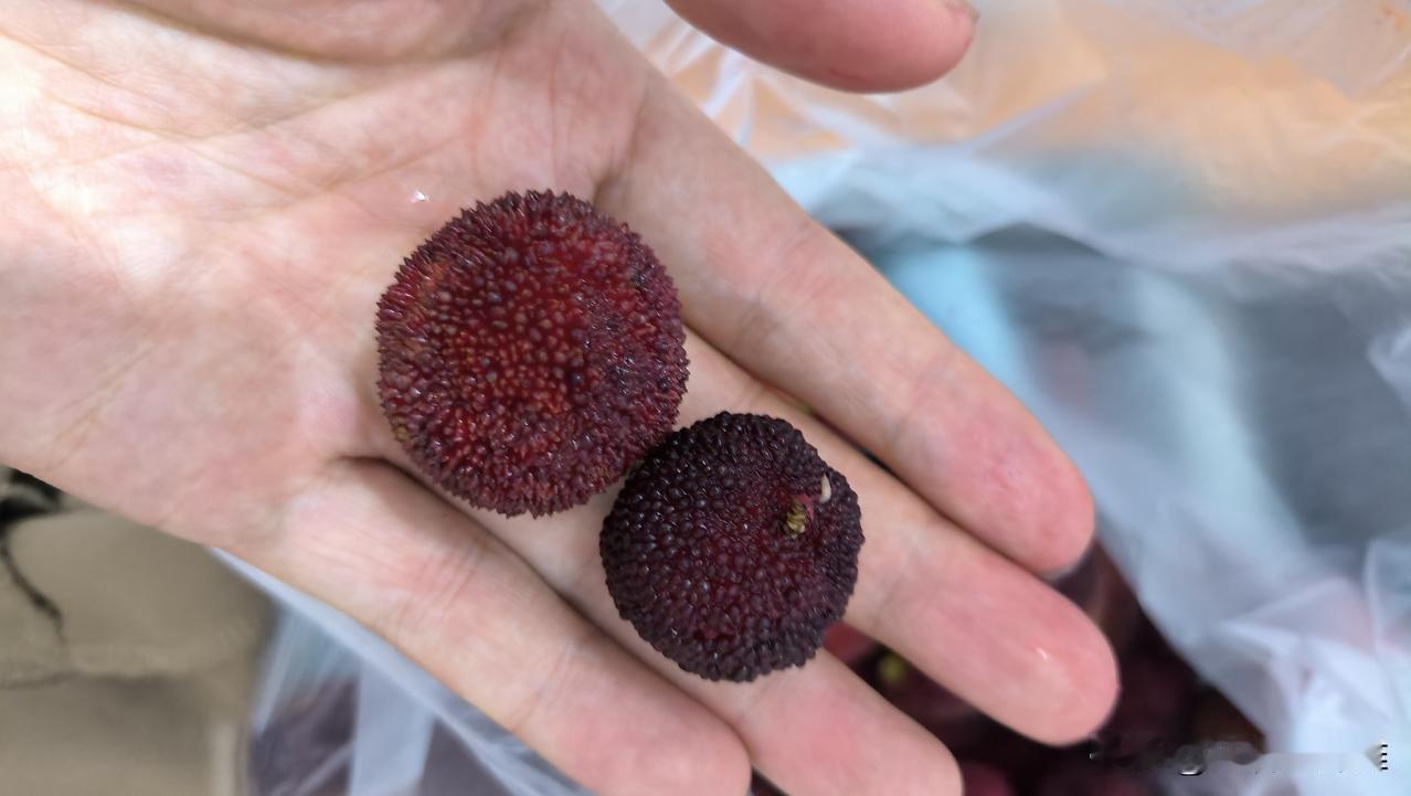 宁波买的杨梅，超大个，想问一下这是东魁吗？为什么这么酸呀？一点都不甜，核还很大。